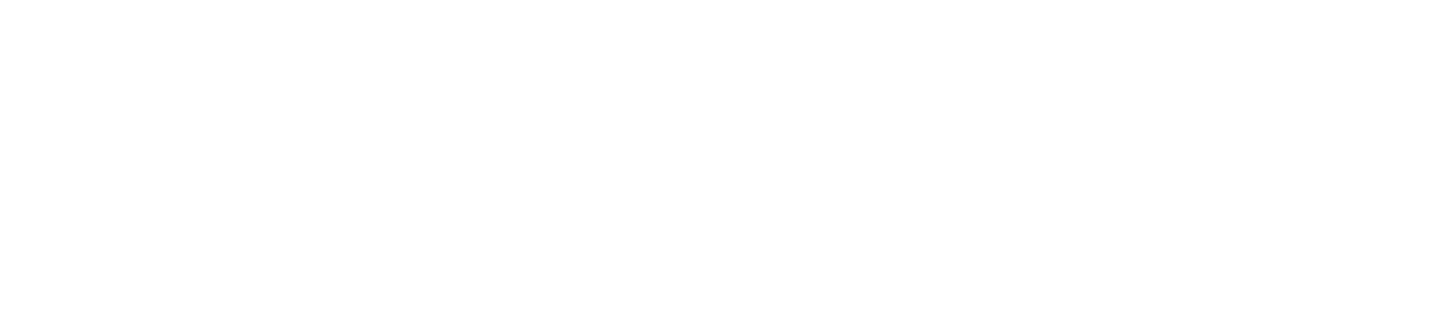 LM EXPRESS TRANSPORTES